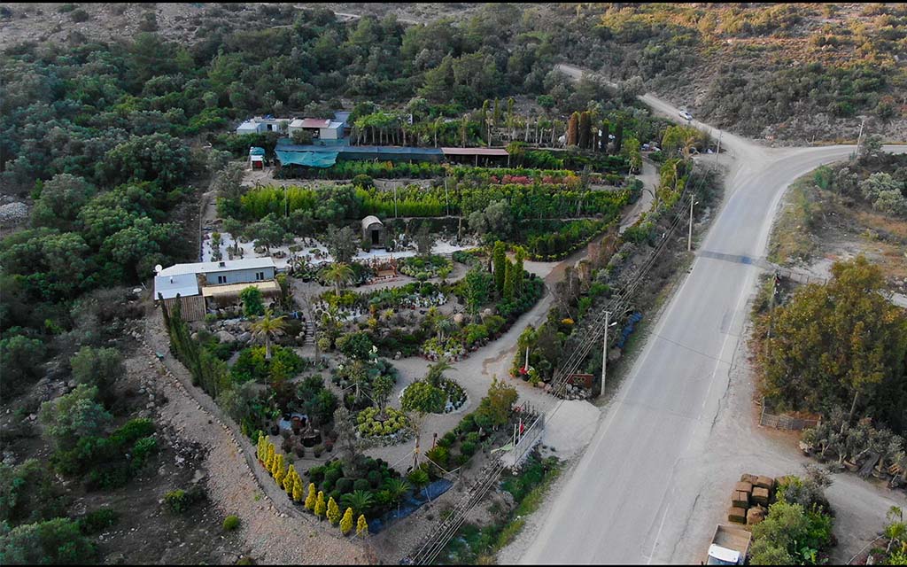 isik-peyzaj-bodrum-fidanlik-1